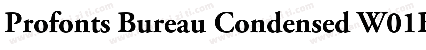 Profonts Bureau Condensed W01Bd字体转换